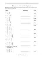 Determinants of Matrices coloring activity